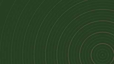 The rings pattern in the forest style