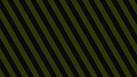 The stripes pattern in the sport style